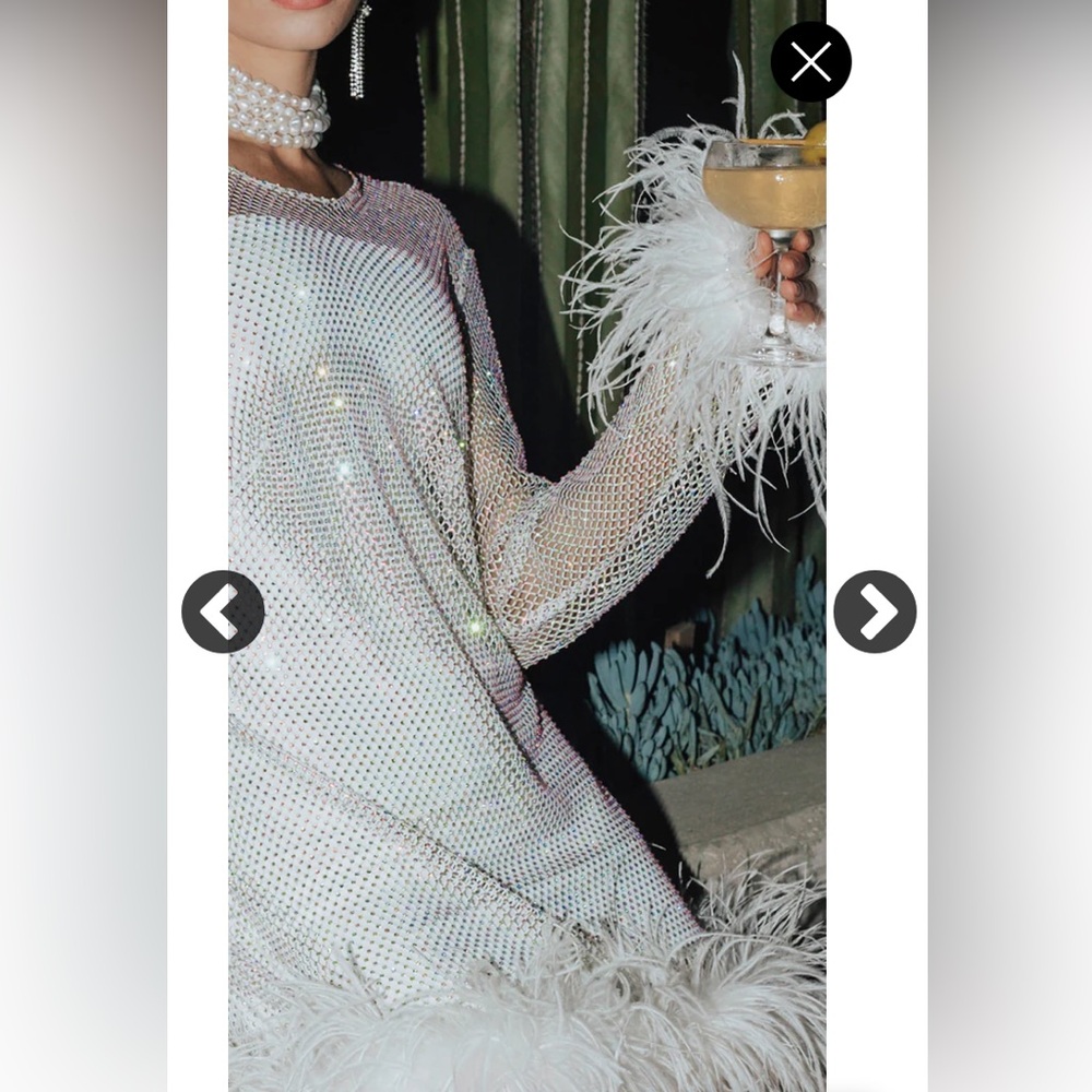 Untamed Petals Disco Sheer Dress in XS